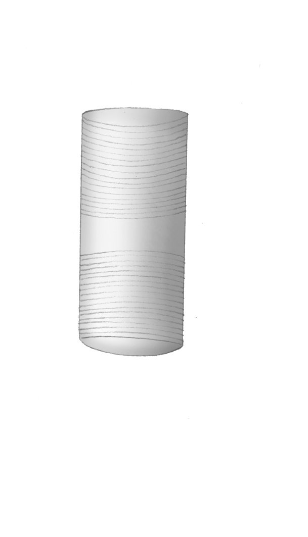 Dictyocha speculum